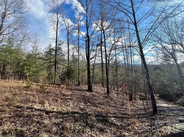 17-6 N Coast Dr, Mill Spring, NC 28756