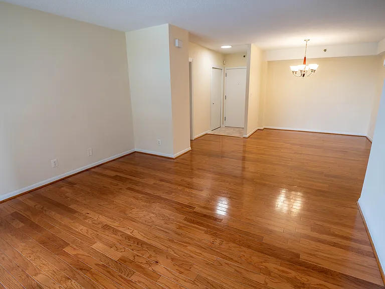5505 Seminary Rd #316N — Photo 23