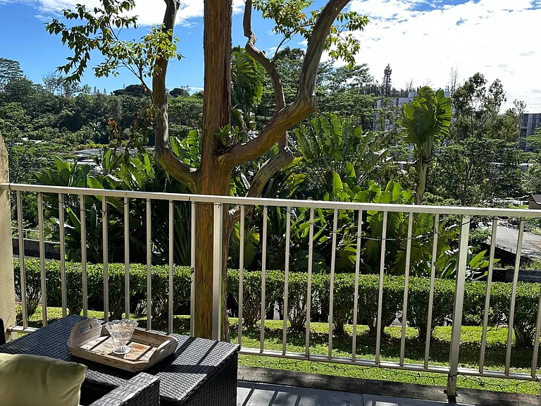 Waikalani Pl — Photo 11