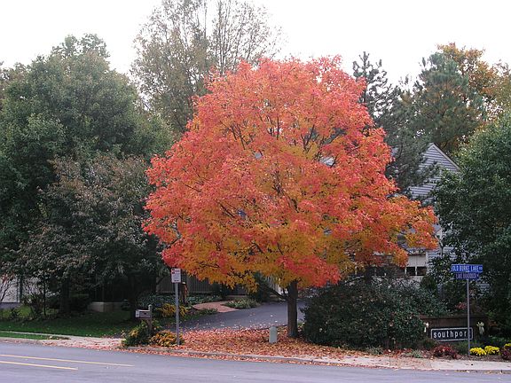 4th image of 9235 Lake Braddock Dr