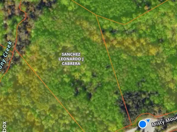 0 Misty Mountain Rd, Lynch Station, VA 24571