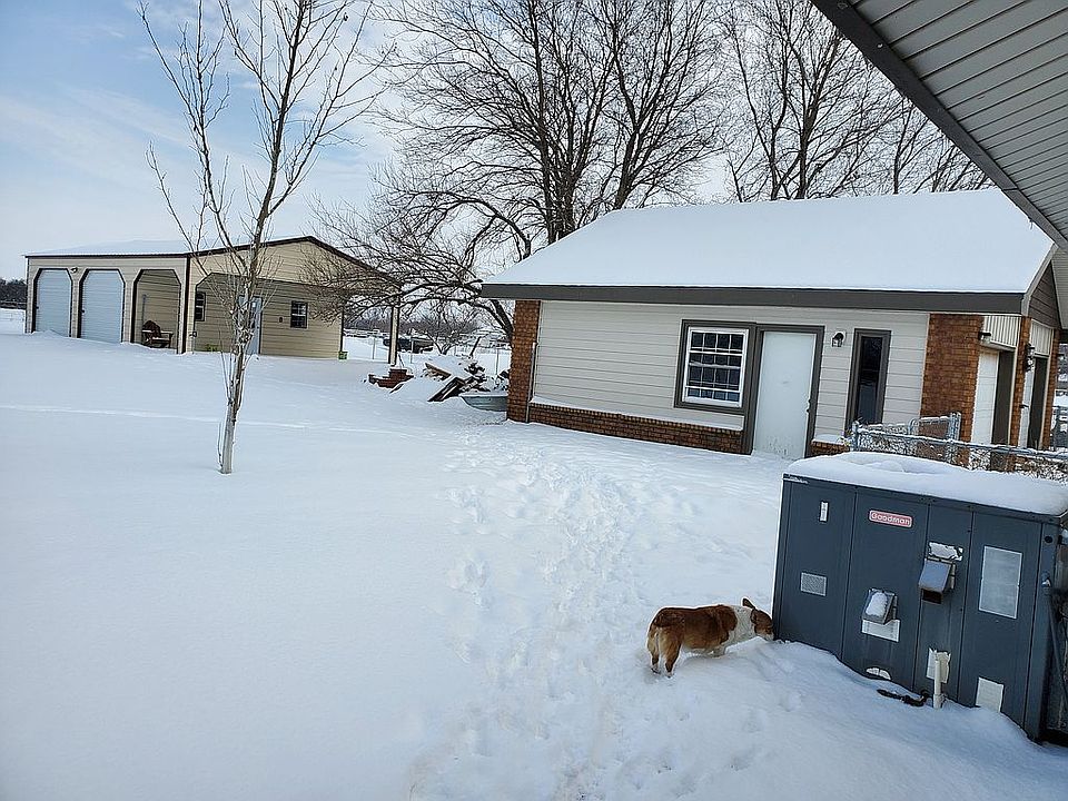 Back yard from back door