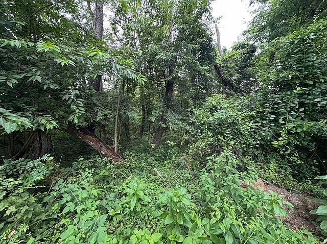 2nd image of 0 Peairs Rd