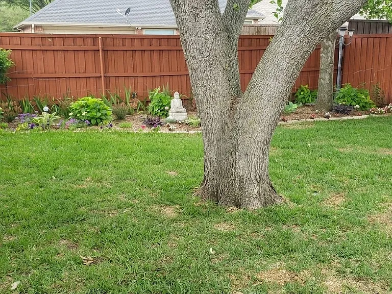 Peaceful fenced back yard with mature trees.
