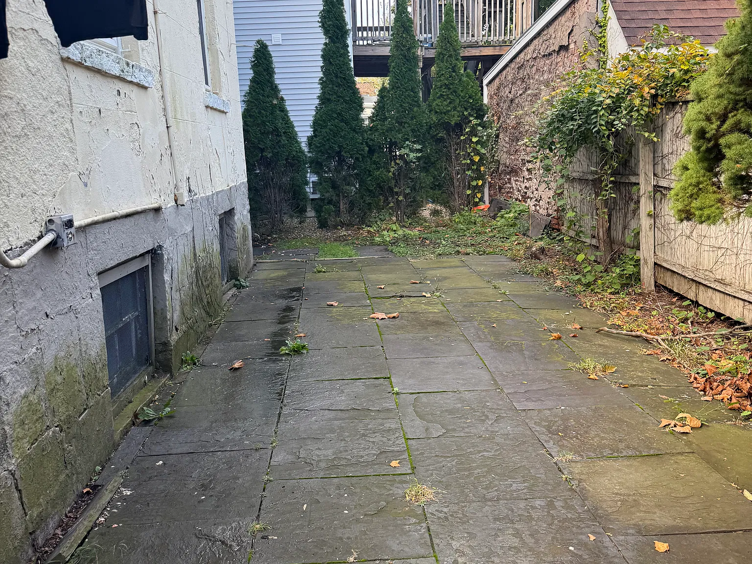 1 bed, 800 sqft, $1,600 — Photo 3