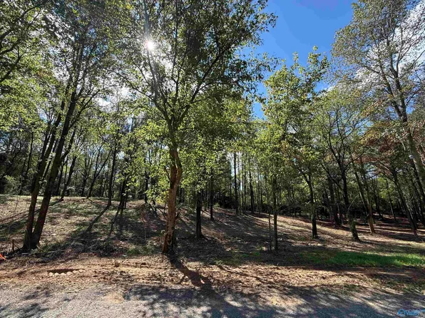 12B County Road 1123, Vinemont, AL 35179