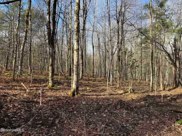 411-51 & 52 Skyline Trl, Middlefield, MA 01243