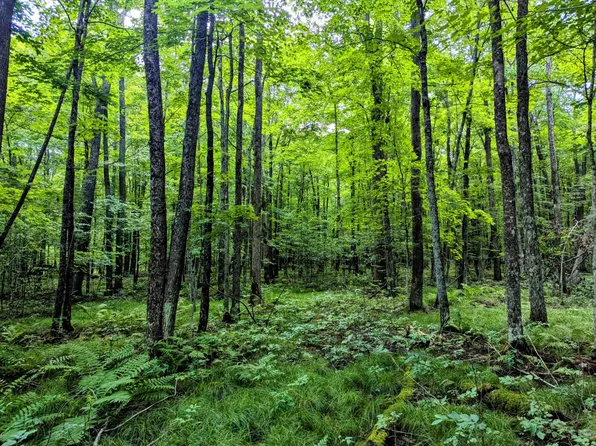 20 Cth S #D, Phillips, WI 54555