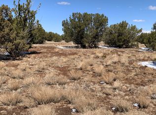 1927 Raven Rd, White Mountain Lake, AZ 85912