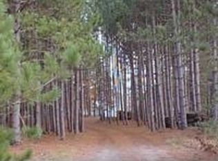 18401 Stonehouse Shores Rd, Hersey, MI 49639