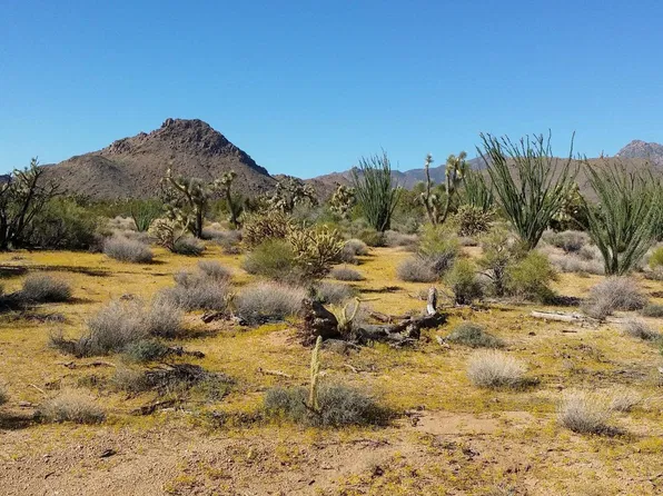 94900 S Cattle Crossing Rd, Yucca, AZ 86438