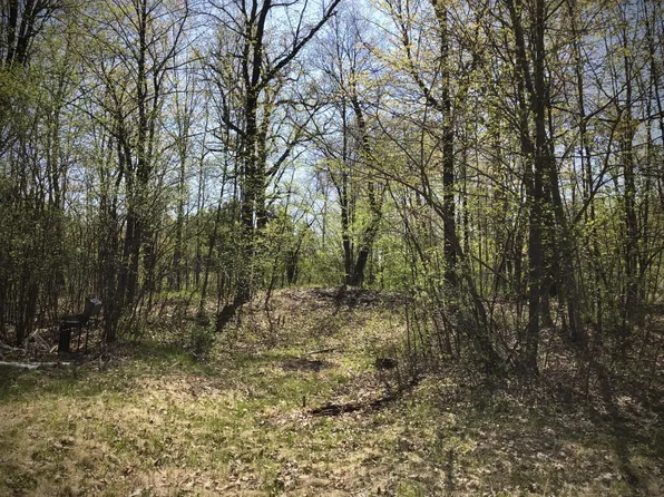 9953 Riverbed Rd, Pine City, MN 55063