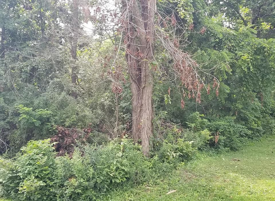 1st image of 63 High Trl