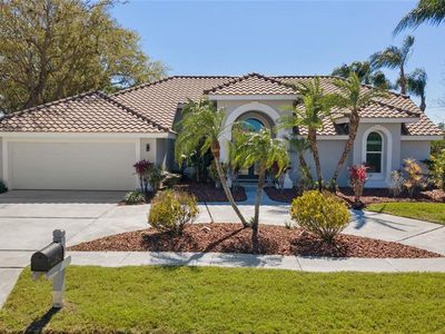 10408 Double Bayou Way, Tampa, FL, 33615
