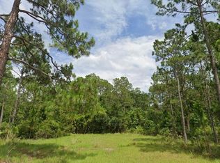7141 Oak Glen Trl, Harmony, FL 34773
