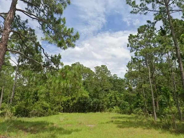 7141 Oak Glen Trl, Harmony, FL 34773