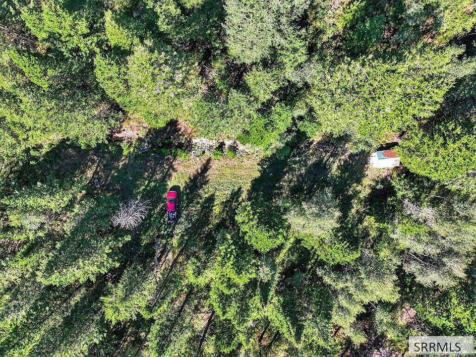 1st image of Coyote Run