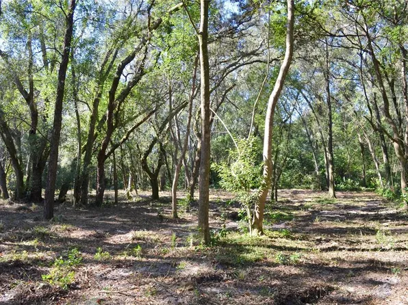 Racine Rd Lot 5, Orange City, FL 32763