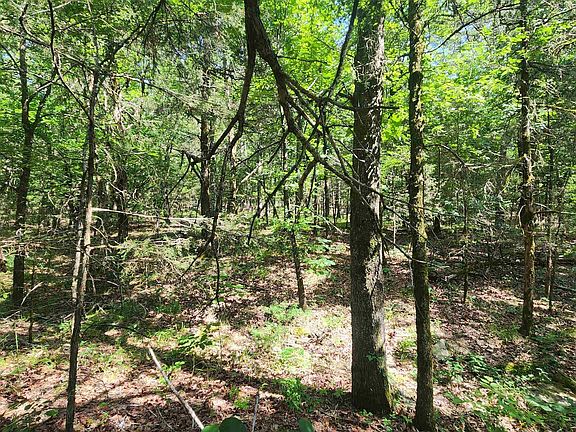 5th image of Yonder Tree Rd