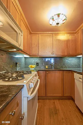 Rented by Citi Habitats | media 16