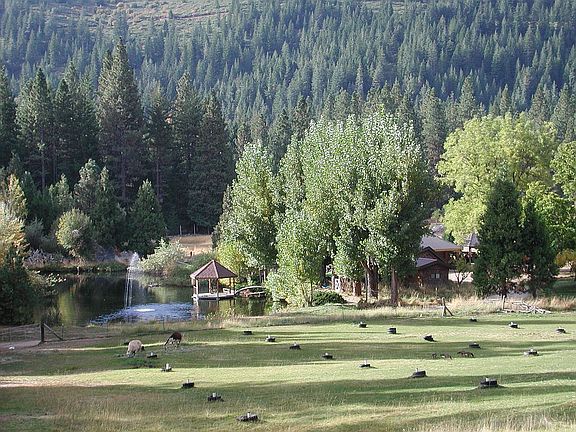 Front pasture, pond w/gazebo
