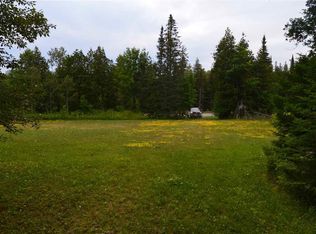 10558 E Gogomain Rd, Pickford, MI 49774