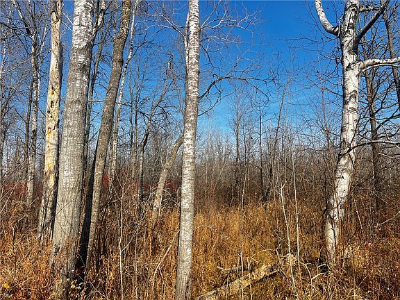 4th image of 3789 N Ripsaw Road