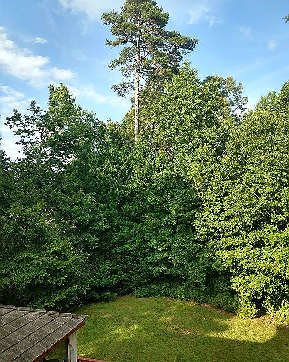2nd image of 11 Carissa Ct