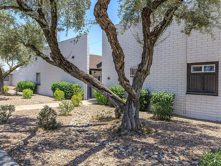 The Cara Apartments — Photo 46