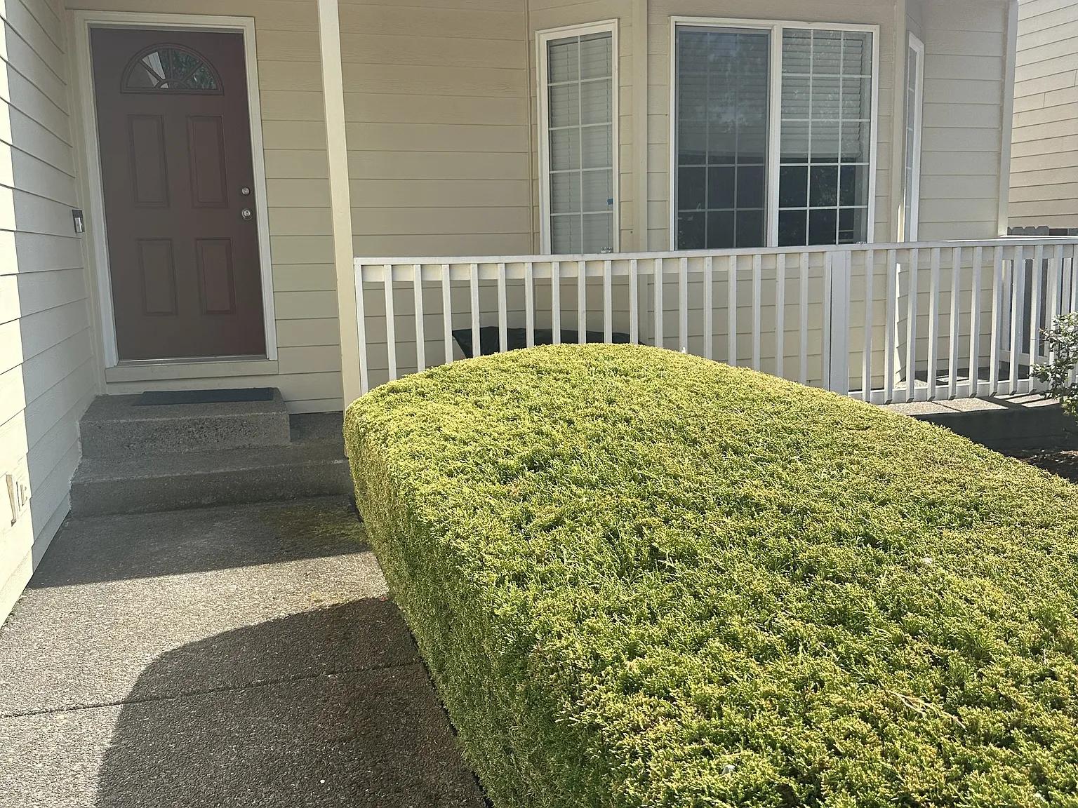 3 bed, 1305 sqft, $2,550 — Photo 3