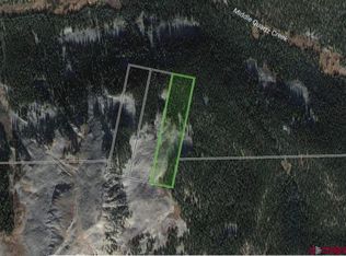 Un Numbered Forest Service Rd #77671B, Pitkin, CO 81241
