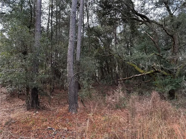 143 Trotters Loop, Beaufort, SC 29907