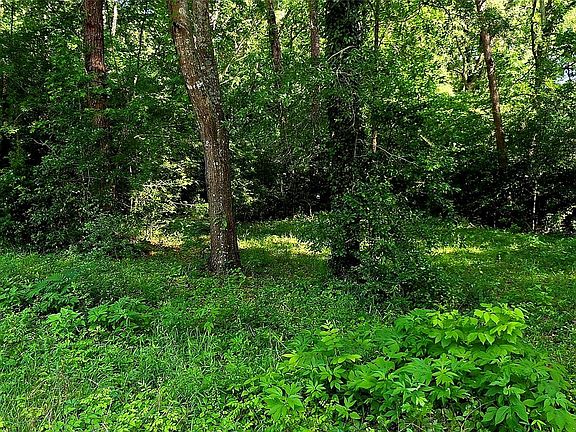 3rd image of 504 John Kolb Rd