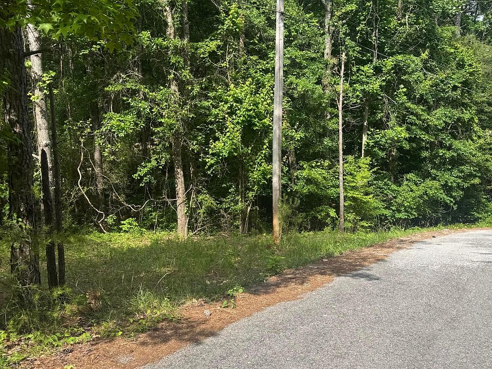 1st image of LOT 20 County Road 199