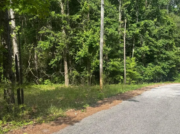 LOT 20 County Road 199, Bremen, AL 35033