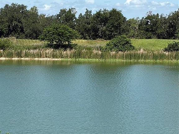 5th image of 10349 COUNTY ROAD 555 LOT 9