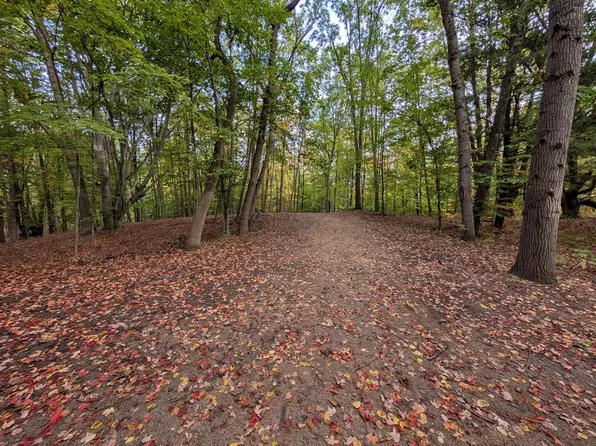 V/l East Kissing Oaks Trl #164, Custer, MI 49405