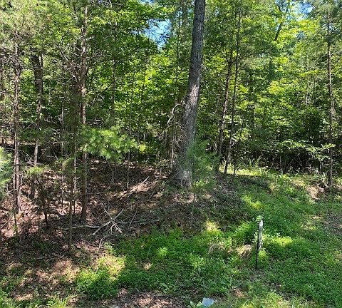 4th image of 9 Brasstown Acres Dr