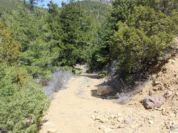 00 County Rd 308 LOT 1381, Idaho Springs, CO 80436