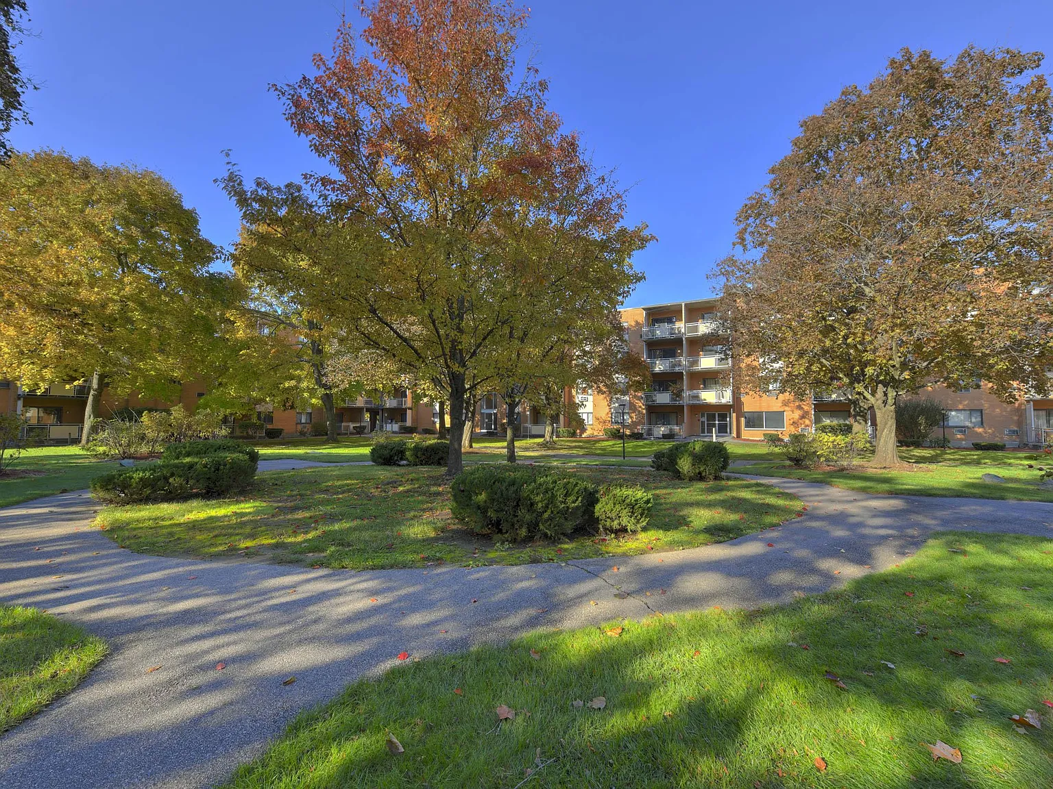 Morton Village — Photo 3