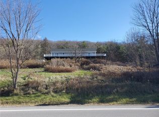 6668 S Old Bald Hill Rd, Springwater, NY 14560