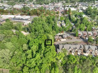 0 Cypress Dr, Blue Ridge, GA 30513