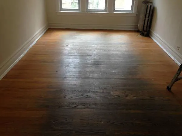 2 bed, 1.0 bath, $1,800 — Photo 1