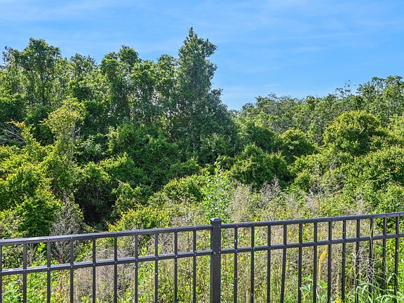 Lush Conservation Views
