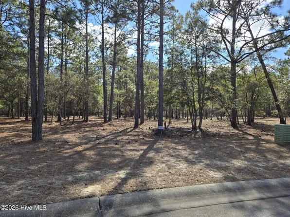 3597 Concordia Ave SW Lot 414, Supply, NC 28462