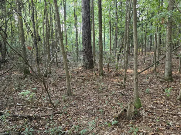 3622 Fugler Loop, Sontag, MS 39665