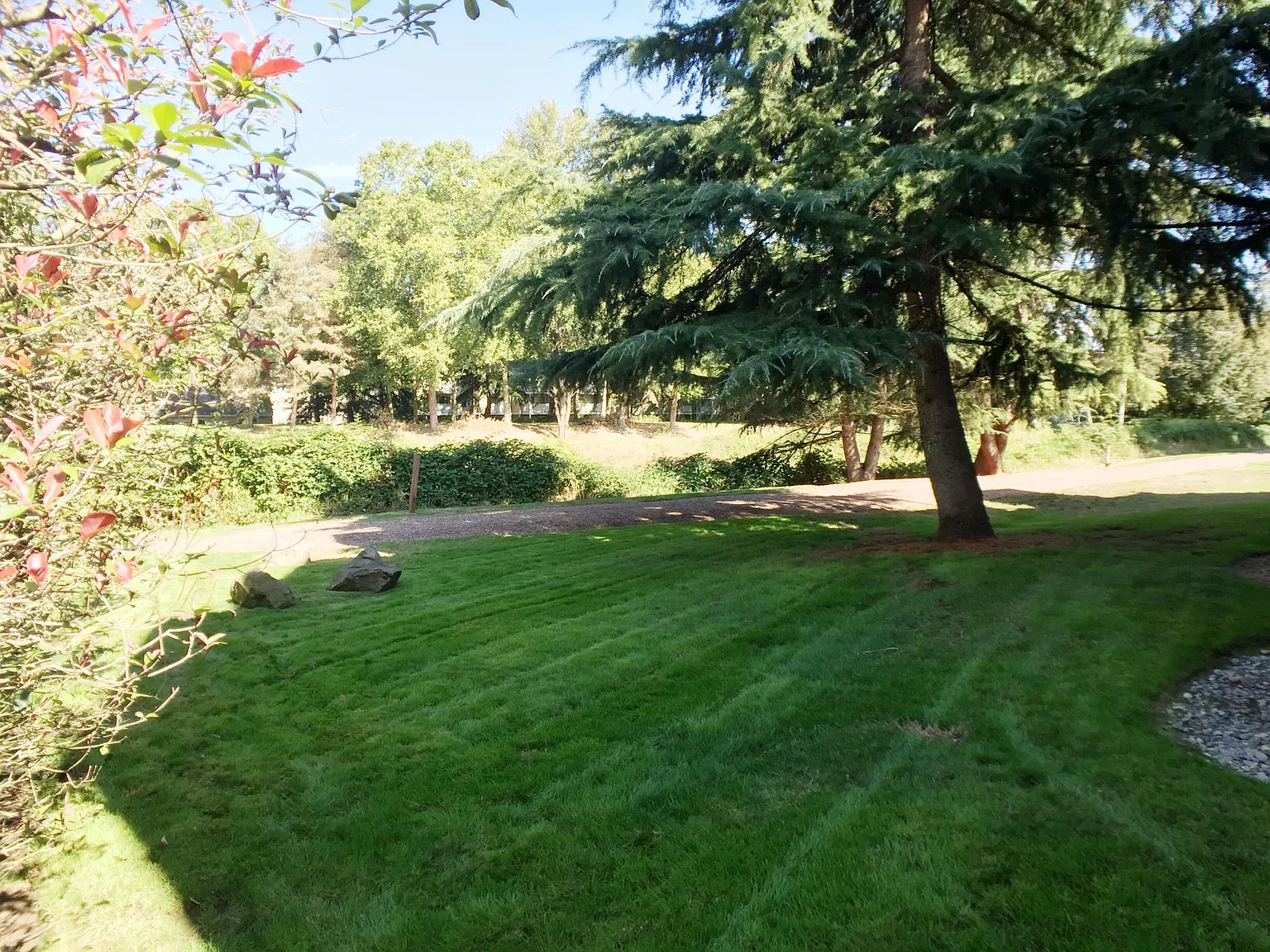 7408 W Lake Sammamish Pkwy NE — Photo 3