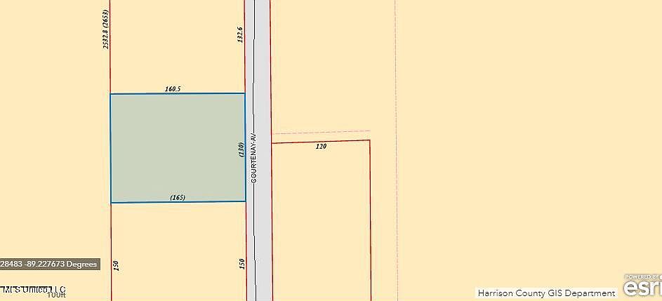 2nd image of 347 Courtenay Ave