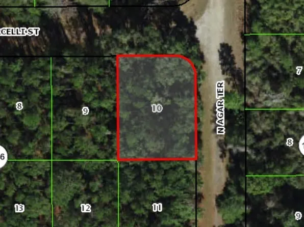 1124 E Vercelli Ln, Citrus Springs, FL 34434