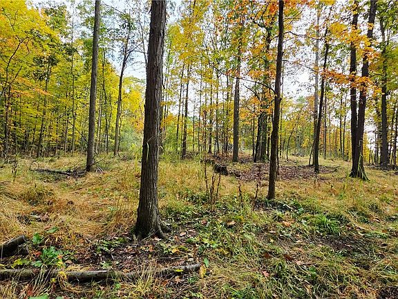 3rd image of 9615 Oakland Rd Lot 22